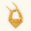 Dreieckstuch aus 100% Kaschmir - mustard